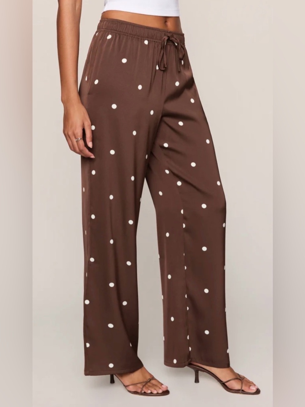 Relaxed Polka Dot Wide-Leg Pants - Brown NWT